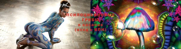 спайс Инсар