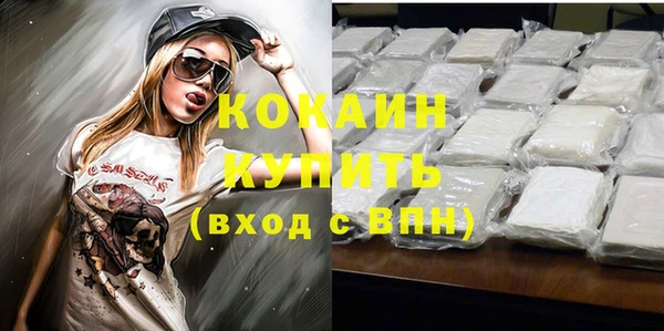 дмт Каменногорск